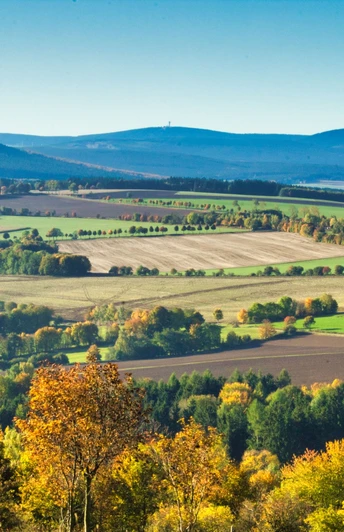 Ausblick auf Bärenstein, Fichtelberg und Keilberg