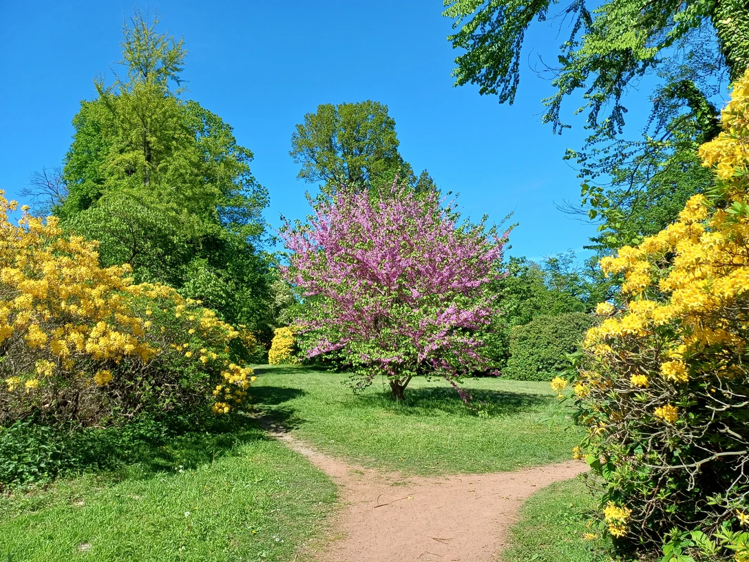 Ohrbergpark Emmerthal im Frühling Ohrbergpark Emmerthal im Frühling