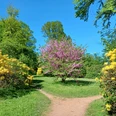 Ohrbergpark Emmerthal im Frühling Ohrbergpark Emmerthal im Frühling