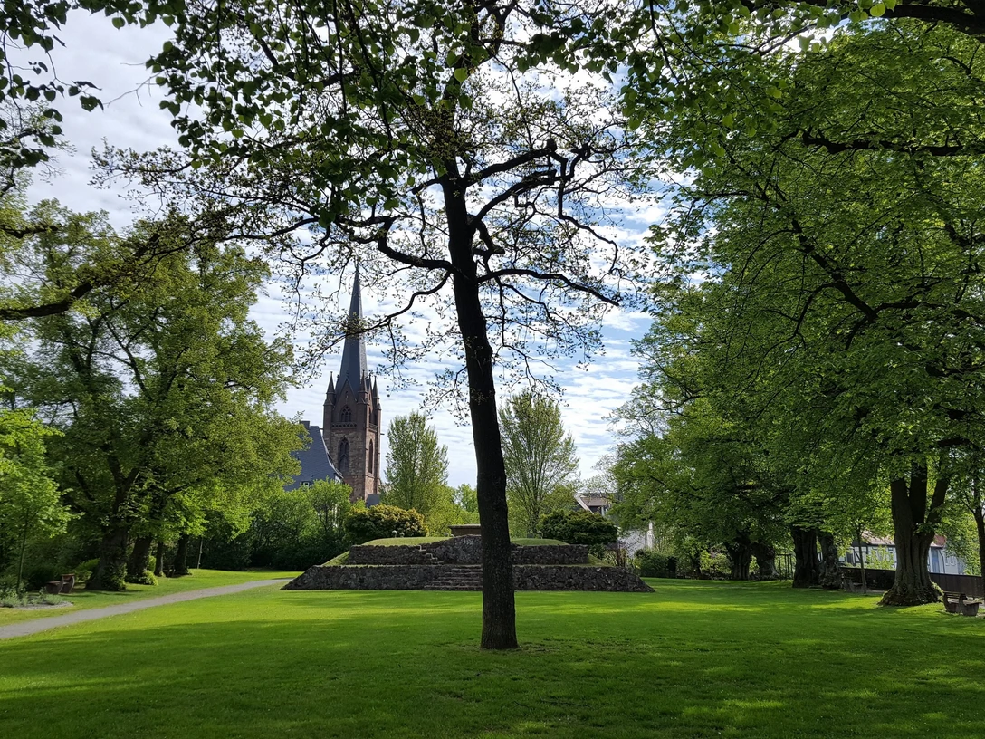 Burgberg in Frankenberg (Eder)