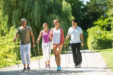 Vier Personen beim Nordic Walking auf einem sonnigen Weg im Grünen