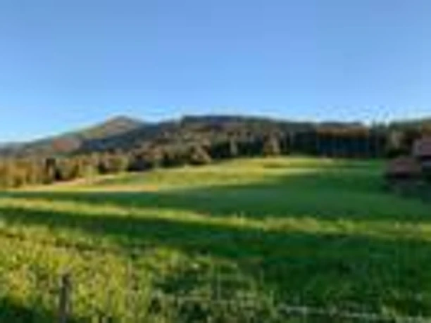 Blick Richtung Hörnle