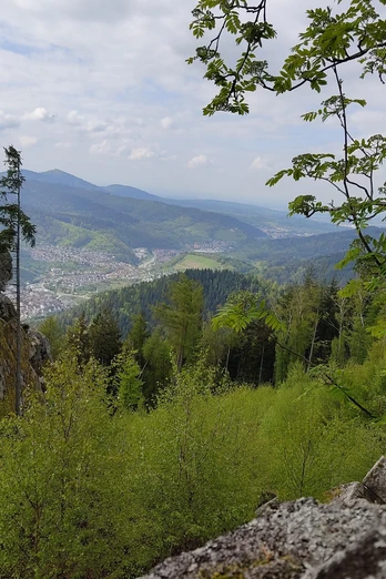 Forbach-Langenbrand-Hohe Schaar-Blick auf Schloss Eberstein