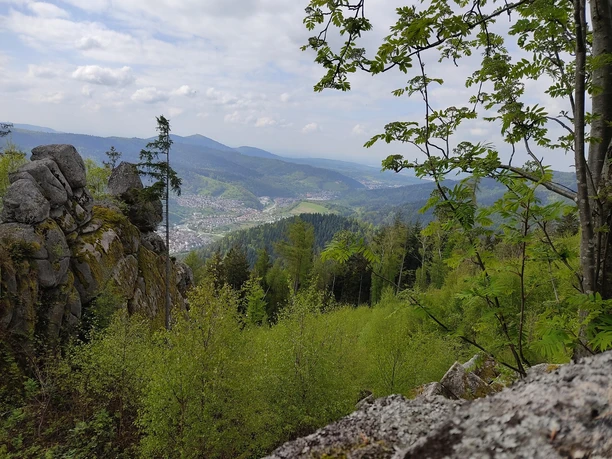 Forbach-Langenbrand-Hohe Schaar-Blick auf Schloss Eberstein