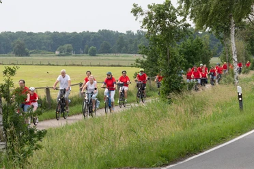 TdM 2025© U. Paschek_5181.jpg Tour de Marsch deelnemers in rode shirts op de fiets