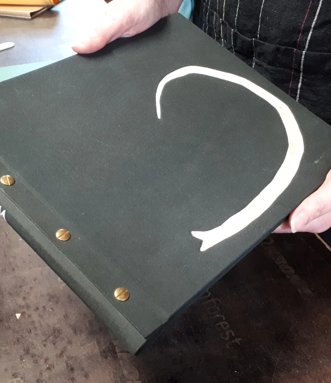 Fotoalbum Würmchen mit echter Schlangenhaut.jpg