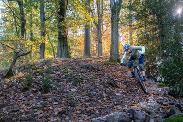 Steinedeck-Trail Abfahrt