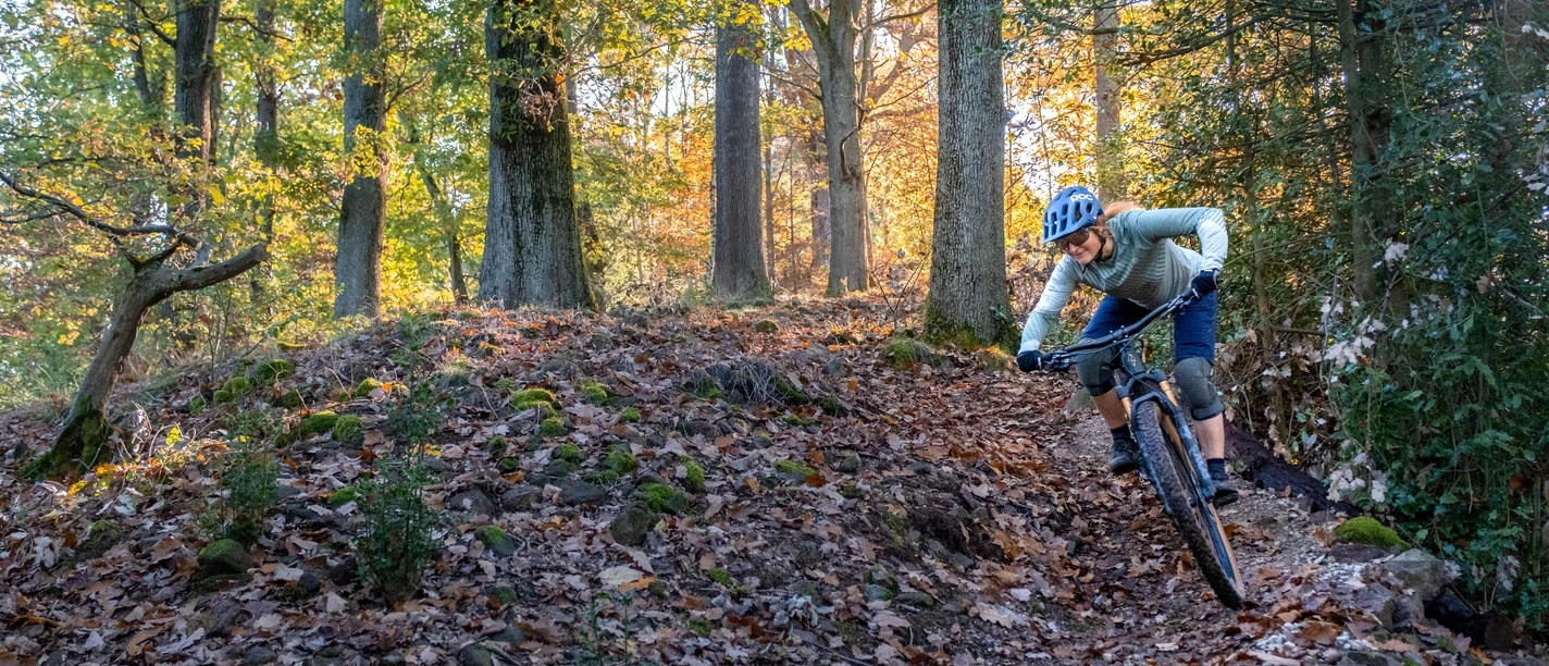 Steinedeck-Trail Abfahrt