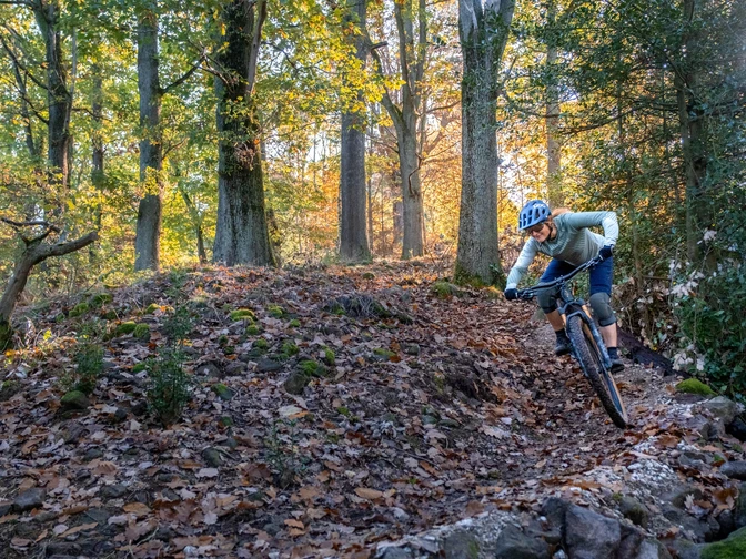 Steinedeck-Trail Abfahrt