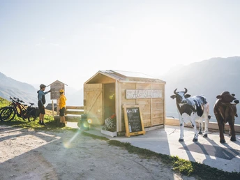 Selbstbedienungsladen Alp Galenstock