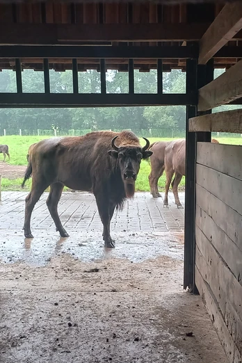 2024-08-09_Malwettbewerb LW24 am Hammerhof©Naturpark(12).jpg