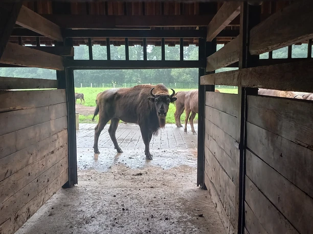 2024-08-09_Malwettbewerb LW24 am Hammerhof©Naturpark(12).jpg