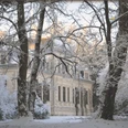 Das Palais im Winter Historisches Herrenhaus hinter schneebedeckten Bäumen in winterlicher Abendstimmung