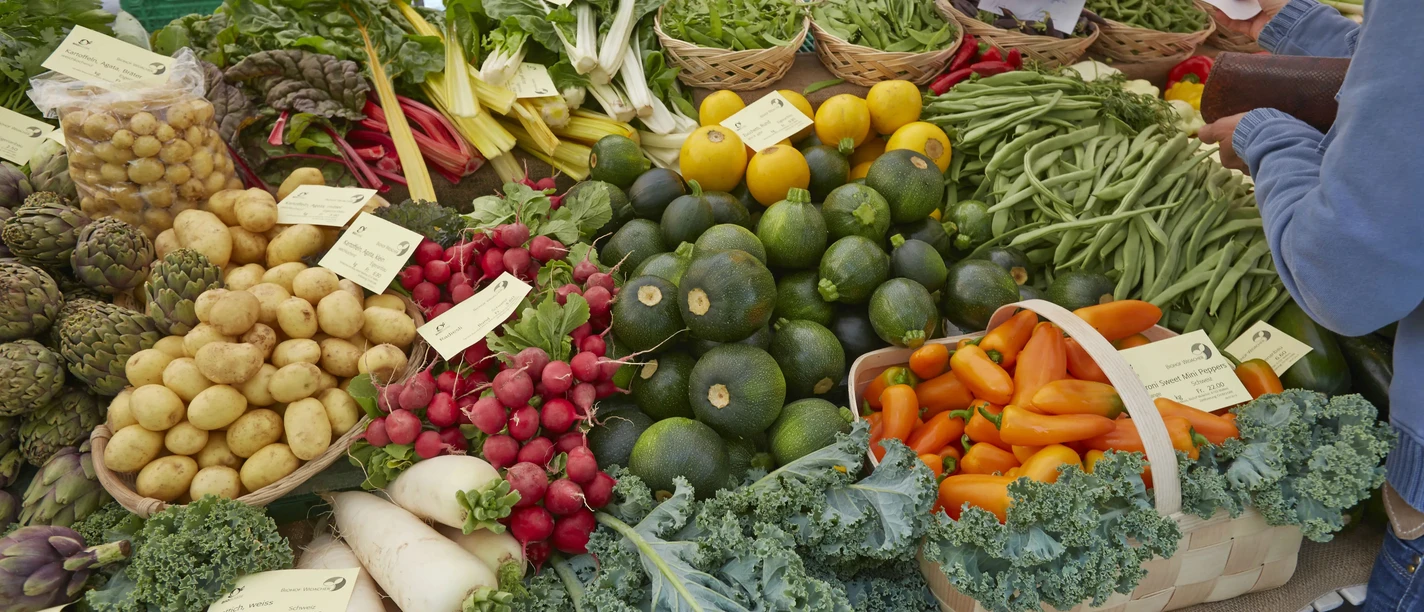 2016111156465600 8628943075891584