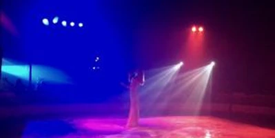 Helene Fischer Double Jenny C