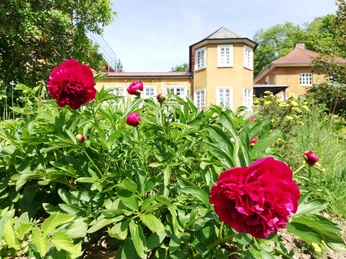 2023-05-29-Landschaftspark Escheberg-GartenLiebe-ccby NPH (55)