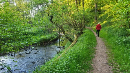 Wanderweg an Ems
