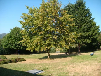 Freibad Battenberg-Dodenau