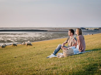 Nordfriesland_Nordstrand_MR_230618_635