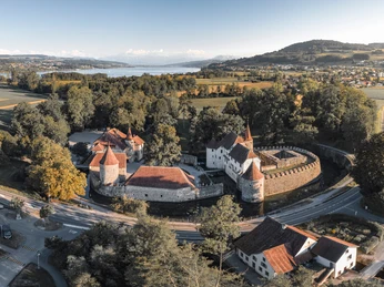 Das Schloss liegt im Naturschutzgebiet des Hallwilersees