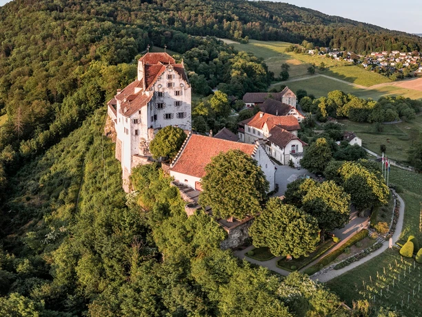 Schloss Wildegg
