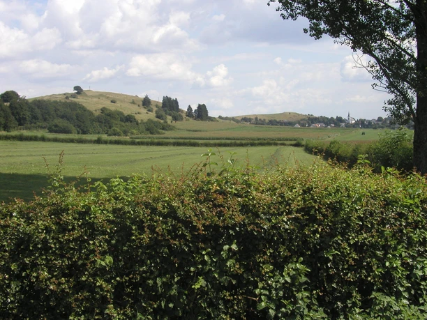 Landschaft bei Schwirzheim Landschaft bei Schwirzheim