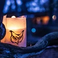 1.png Leuchtende Papierlaterne mit Eulenmotiv auf einem Ast, umgeben von warmem Licht in der Dämmerung.