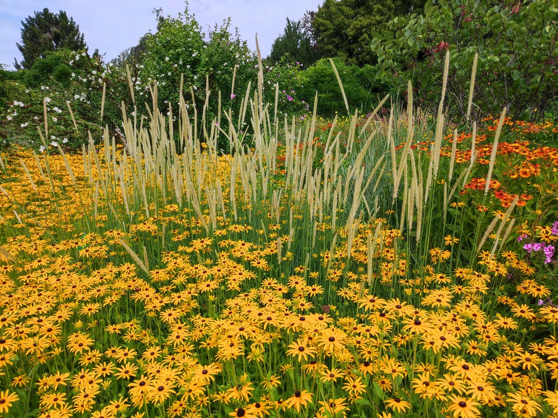 KiWiMedia_Webcode_23557703_Nadja Krause_2025-11-04.jpg