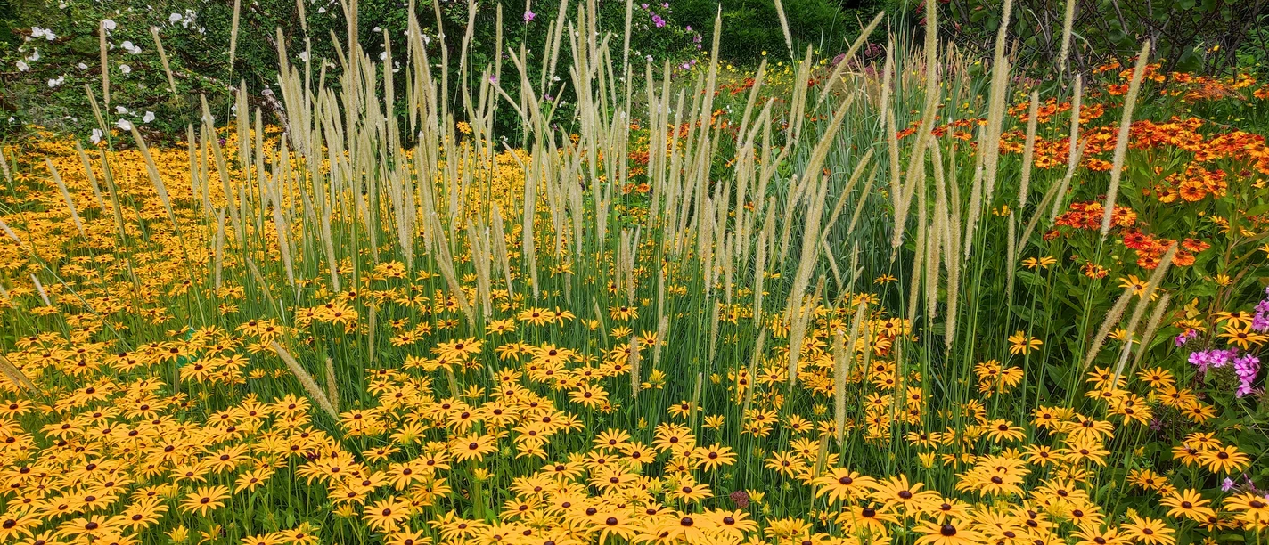 KiWiMedia_Webcode_23557703_Nadja Krause_2025-11-04.jpg