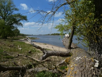 An der Elbe in Bleckede Ferienwohnung-Kastens An der Elbe in Bleckede Ferienwohnung-Kastens