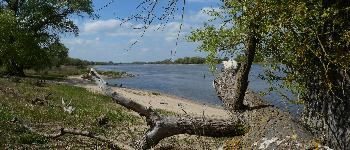 An der Elbe in Bleckede Ferienwohnung-Kastens An der Elbe in Bleckede Ferienwohnung-Kastens