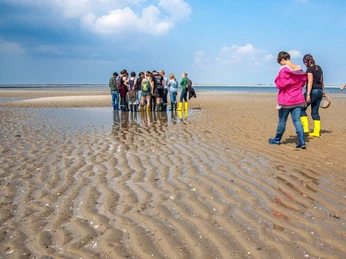Wattwanderung Menschen bei einer WattwanderungPeople on a mudflat hikeMennesker på en muddervandringMensen op een wadwandeling
