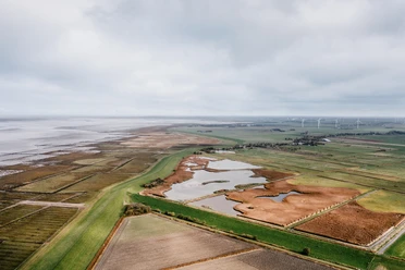Naturschutzgebiet Wester Spätinge bei Simonsberg Landschaft