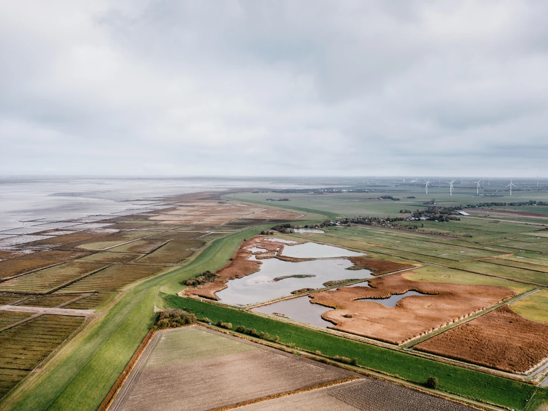 Naturschutzgebiet Wester Spätinge bei Simonsberg Landschaft