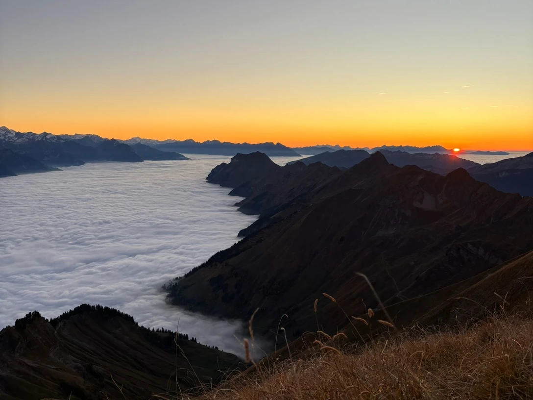 WhatsApp Image 2025 10 12 at 21 17 40