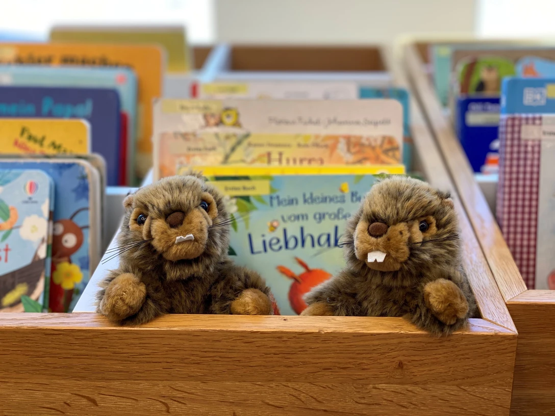 Murmeli Büchertrog 2