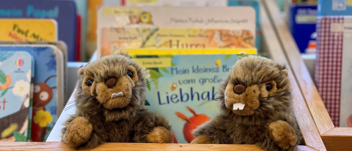 Murmeli Büchertrog 2