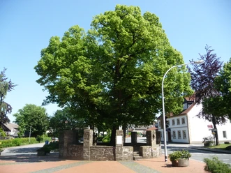 Naturdenkmal_Gerichtslinde_Femlinde_Gesmold_CC-BY-SA_Eloise65.jpg