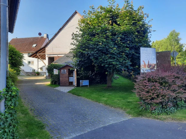 Hühnerhof