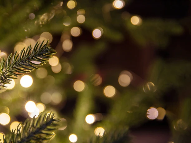 Weihnachtsknister Wülmersen