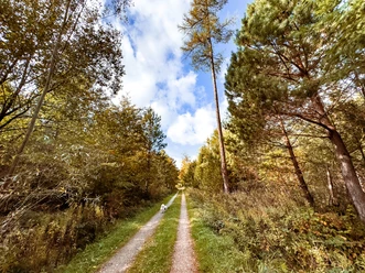 Freiolsheimer Rundweg