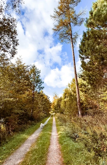 Freiolsheimer Rundweg