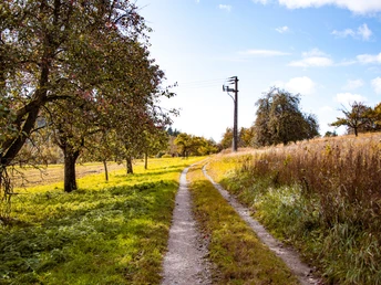 Freiolsheimer Rundweg