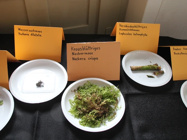 © UNESCO Biosphäre Entlebuch