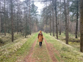 Wälder vor der Haustür, die entschleunigen.jpeg
