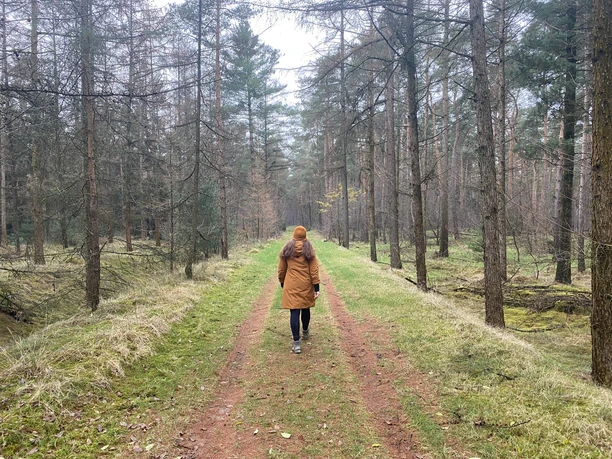 Wälder vor der Haustür, die entschleunigen.jpeg