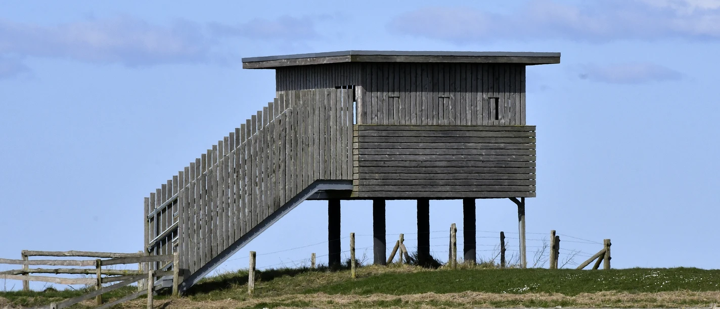 Vogelbeobachtungsturm Cappel-Neufeld