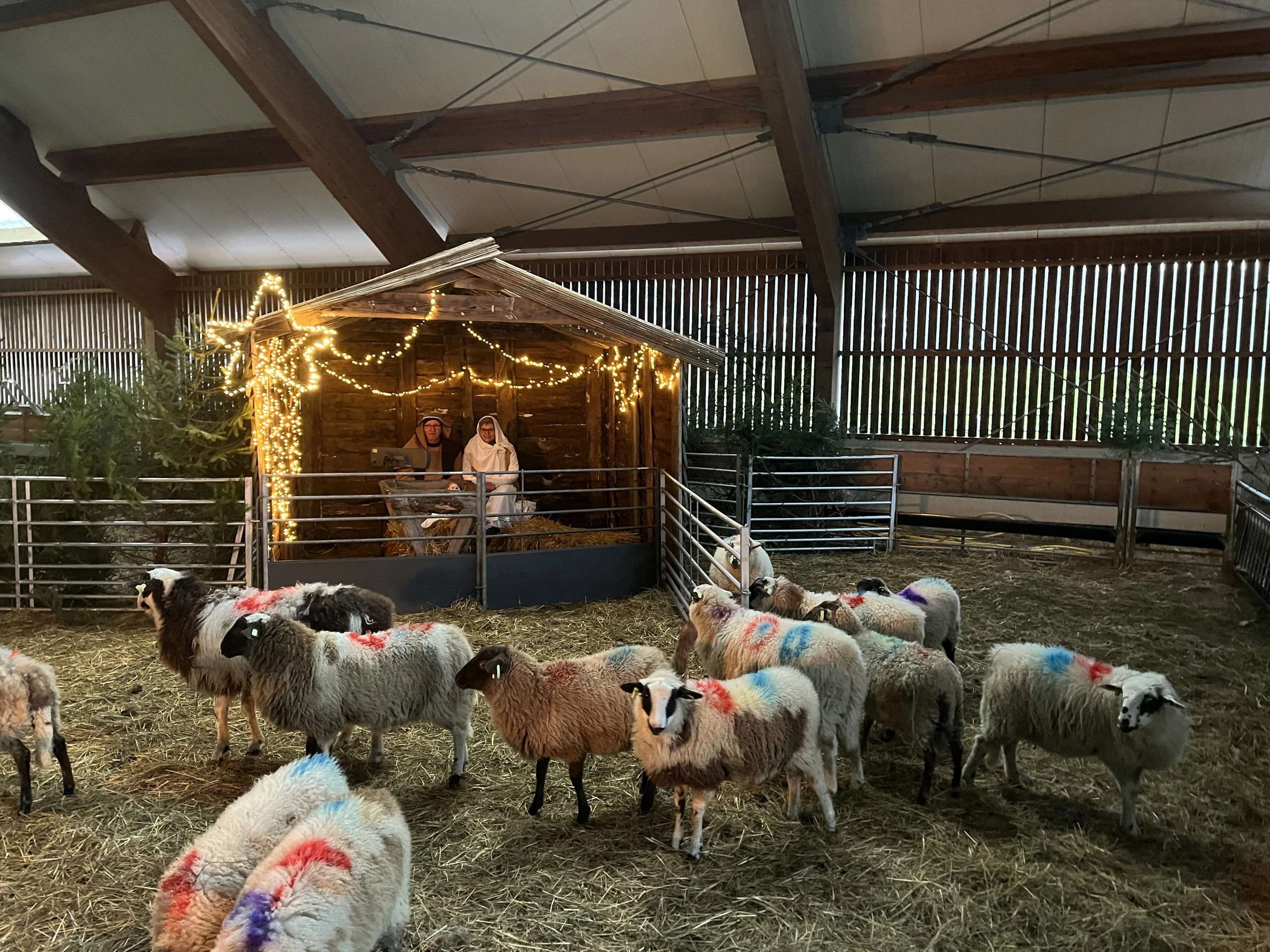 Eine lebendige Krippe und die herzliche Begrüßung erwärmen die Gemüter.jpeg