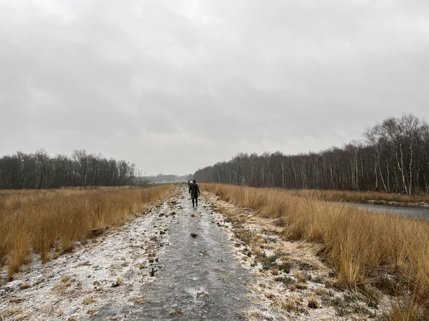 Das Moor fasziniert zu jeder Jahreszeit.jpeg Ein Wanderer geht auf einem winterlichen Moorweg zwischen Gräsern und Birken unter grauem Himmel.