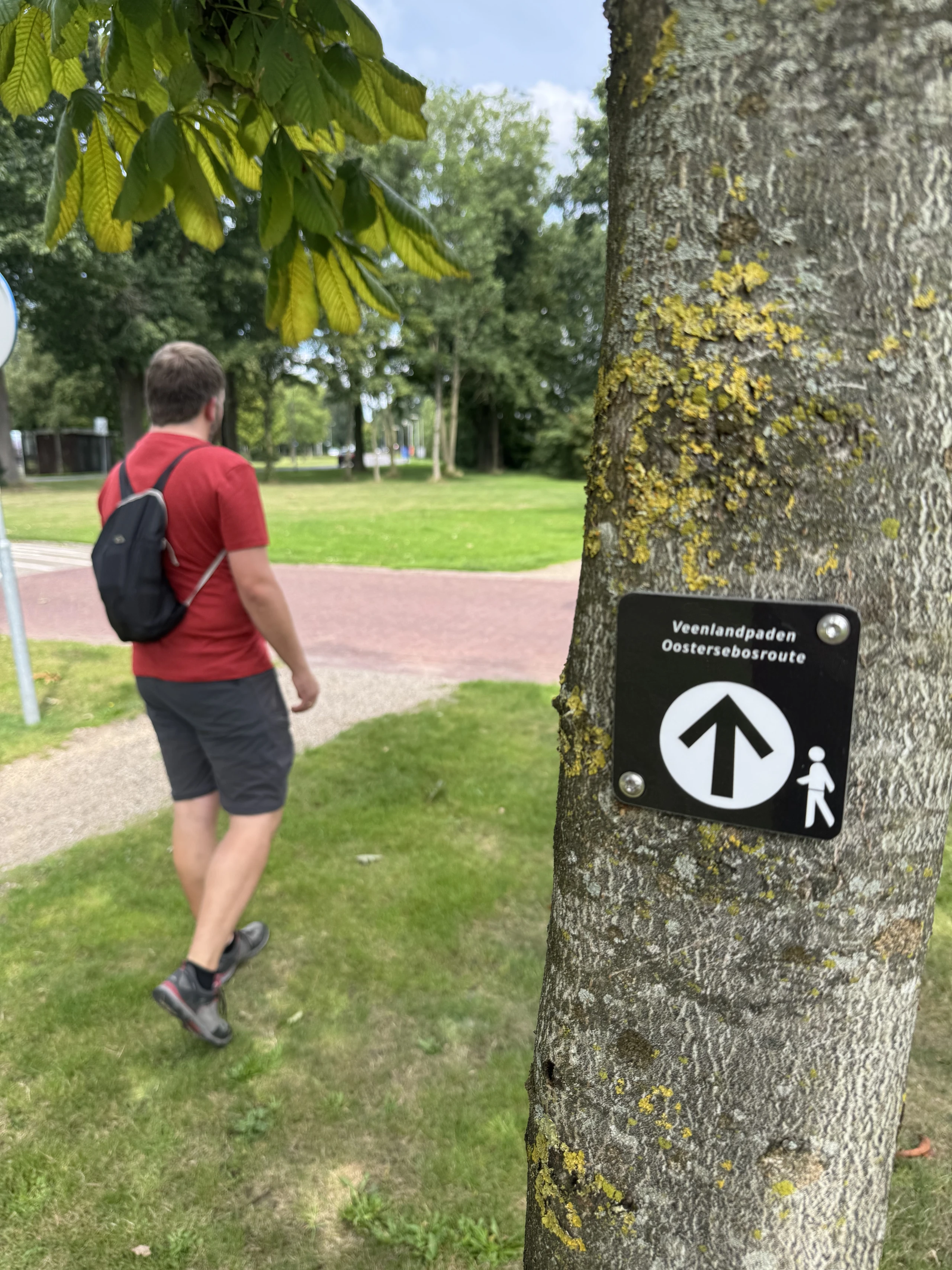 Die Oostersebosroute ist einer der 19 neuen Themenwege im Naturpark Bourtanger Moor - Veenland.jpeg